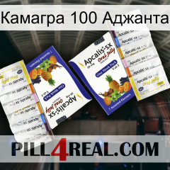 Камагра 100 Аджанта 12